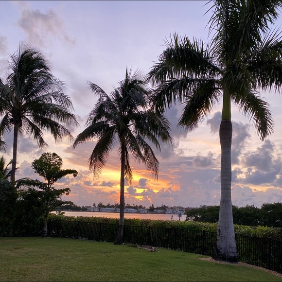 Meet your Posher, Iris - Picture 1 of 1